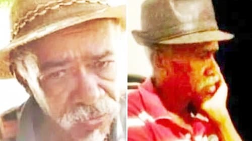 Idoso morre após ataque de abelhas na Bahia