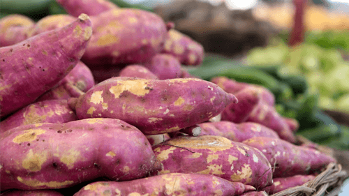 Batata-doce ganha destaque na alimentação saudável e cresce no consumo entre brasileiros