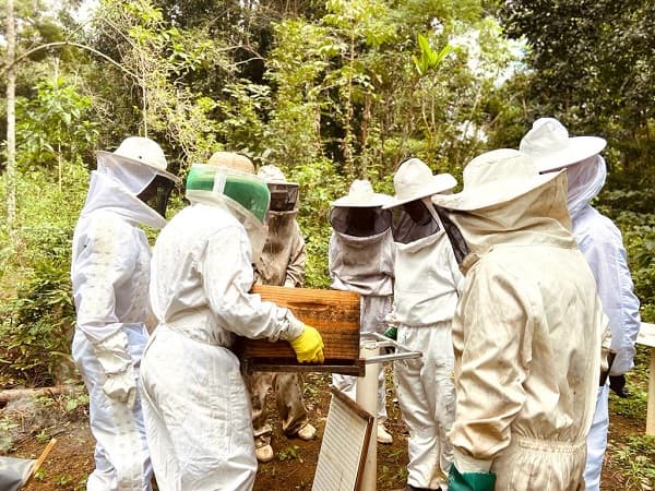 Ibirataia: Secretaria de agricultura promove curso de apicultura