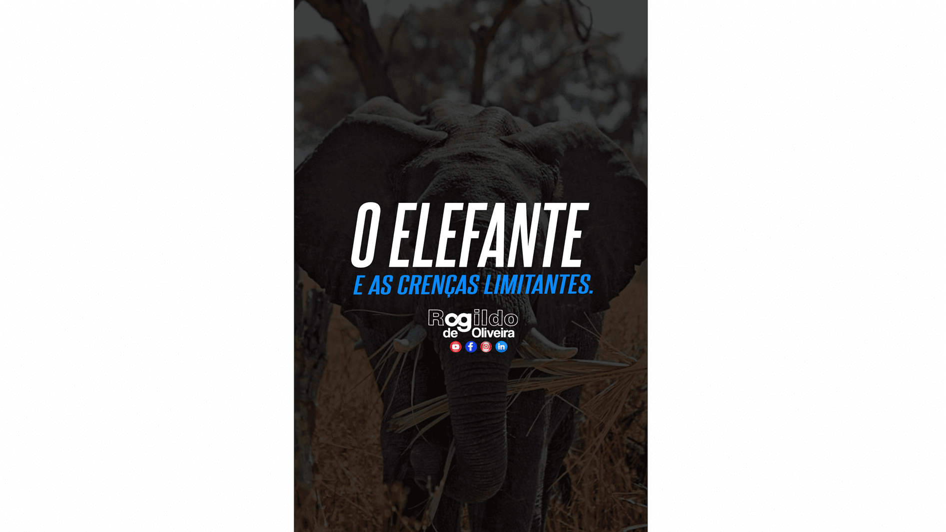 Reflexão: O elefante e as crenças limitantes | Rogildo de Oliveira | Assista o vídeo