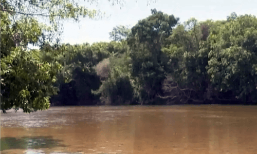 Adolescente fratura pescoço e morre após pular de ponte na Bahia