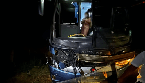 Animais na BR-330 causam novo acidente envolvendo ônibus em Ipiaú