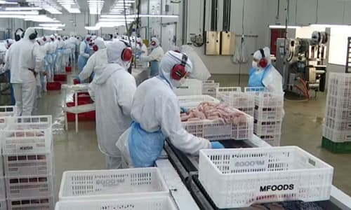 Tarifa de Trump afeta exportações brasileiras e paralisa indústria de pescados