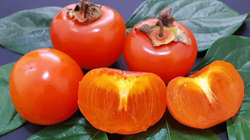 Caqui: O Fruto Saboroso e Nutritivo Que Conquista o Paladar!
