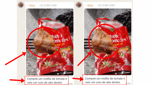 Ibirataia: Segunda moradora faz denúncia chocante de contaminação em Molho de Tomate. Couro de rato?