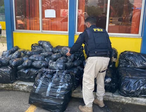 Caminhonete com 260 kg de maconha é apreendida na BR-116