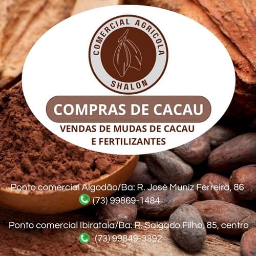 Nova opção de Compra de Cacau em Ibirataia: Comercial Agrícola Shalon