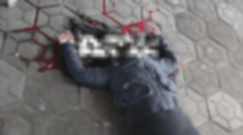 Ibirataia: Mulher é assassinada a tiros no Jardim
