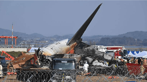 Avião sai da pista e pega fogo em Muan, Coreia do Sul: Colisão com pássaros pode ser a causa