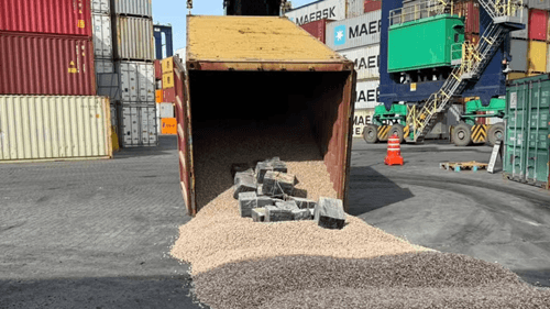 Polícia Federal e Receita Federal apreendem 969 kg de cocaína em porto de Salvador