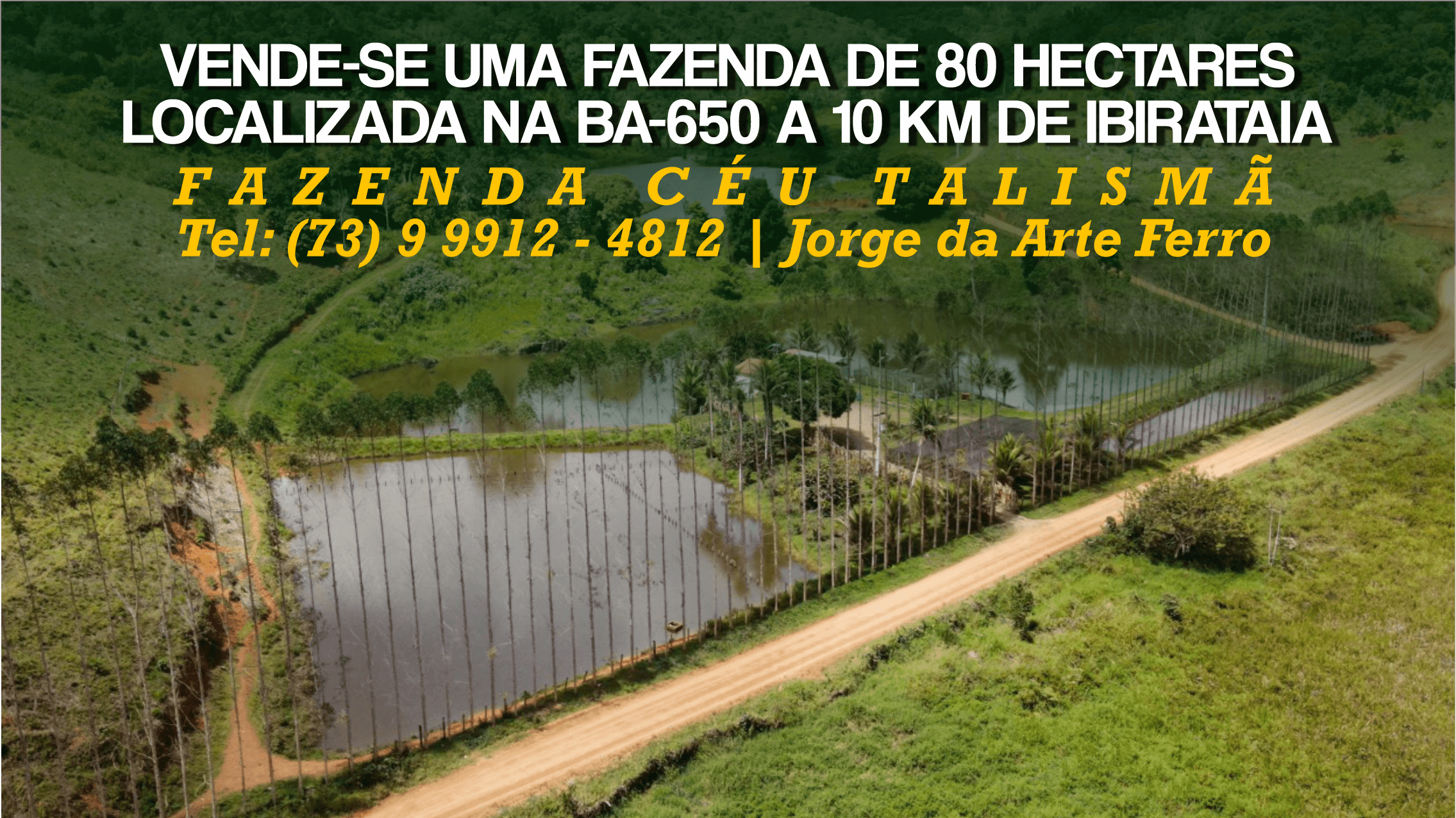 Classificados: Vende-se uma fazenda de 80 hectares na BA-650 a 10 km de Ibirataia