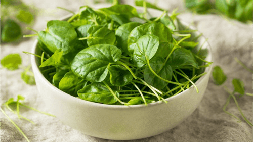 Agrião: O Superalimento que Transforma Pratos e Promove Saúde
