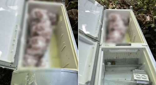 Crime Bárbaro: Mulher encontrada em geladeira foi morta por filha de 13 anos e genro