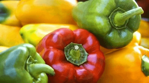 Pimentão: Um superalimento saudável