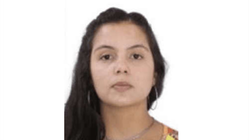 Mulher morre atacada por pitbull dentro de casa na Cidade Ocidental