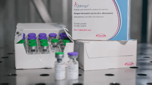 Fiocruz oficializa pedido para produzir vacina contra dengue no Brasil
