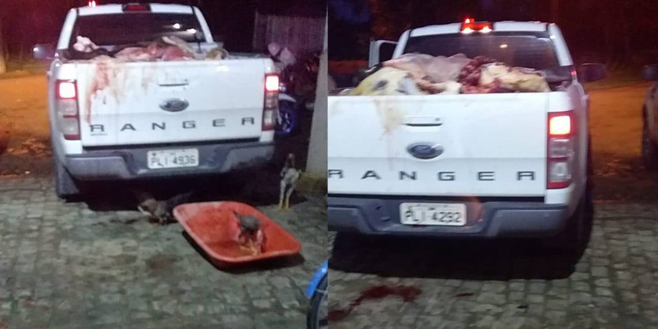 Matadouro de Ibirataia é interditado pela Agência Estadual de Defesa Agropecuária da Bahia