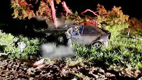 Carro capota e colide em árvore deixando 3 mortos e 3 feridos na Bahia