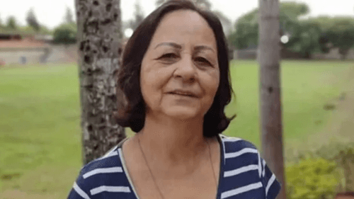 Idosa morre após ser atacada por enxame de abelhas