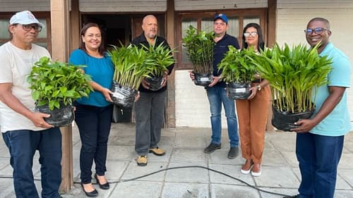 Prefeitura de Ibirataia recebe mudas de árvores frutíferas e florestais do Governo do Estado