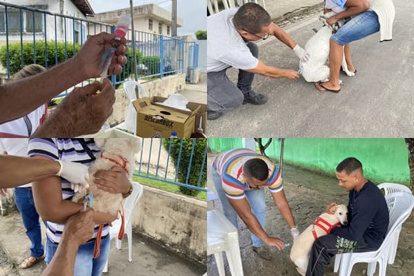 Secretaria de Saúde de Ibirataia inicia com sucesso a Campanha de Vacinação Antirrábica
