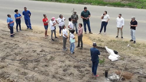 Movimento em Ibirataia celebra o Dia da Árvore e promove a Conscientização Ambiental