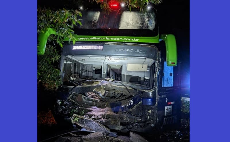 Animal na pista provoca acidente com ônibus de turismo