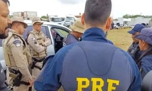 Operação Carcará apreende 48 veículos furtados na Bahia, Pernambuco e Alagoas