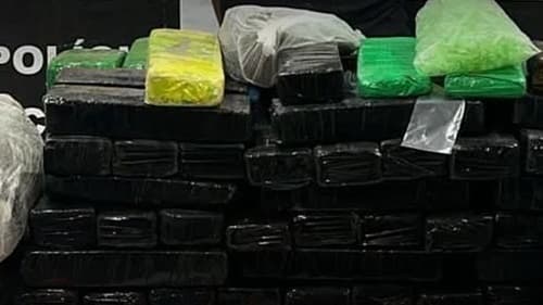 Polícias da Bahia apreendem mais de 8 toneladas de drogas em 2024 e desmantelam 20 laboratórios