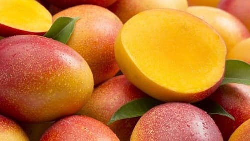 Manga: a fruta tropical rica em sabor e benefícios para a saúde