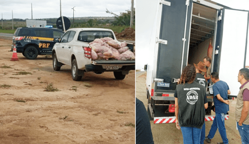 Fiscalização apreende 1,3 tonelada de carne irregular em Jaguaquara