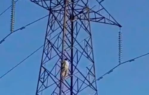 Ibirataia: Homem sobe em torre de transmissão e mobiliza moradores; confir o vídeo