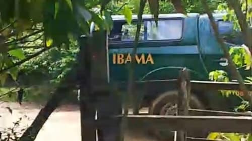 Ibirataia: Ibama resgata animais silvestres mantidos há décadas em fazenda