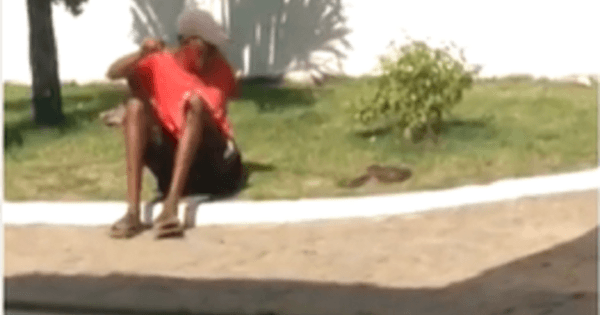 Homem é picado por cobra após tentar beijar o animal