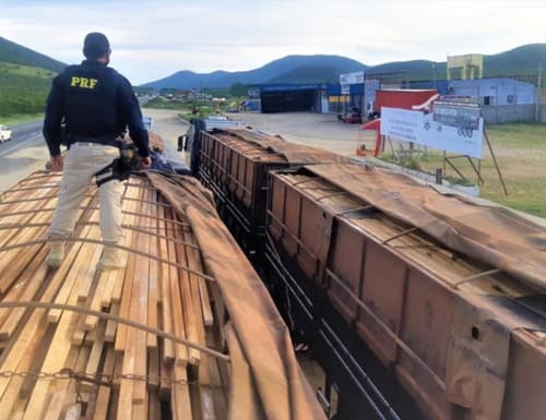 PRF apreende 100 toneladas de madeira ilegal em Jequié