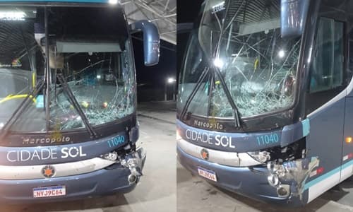 Ônibus da Cidade Sol atropela vaca na BR-330, entre Ipiaú e Barra do Rocha