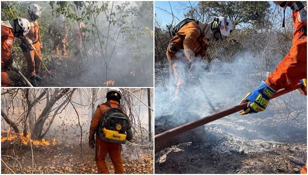 Bombeiros militares combatem vários incêndios na Bahia