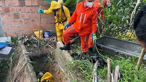 Dono de terreno sente mau cheiro e encontra corpo em fossa desativada no sul da Bahia