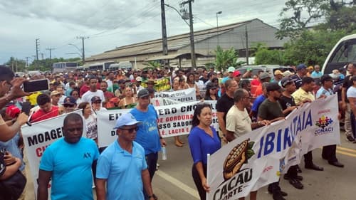 Ibirataia: Prefeitura apoia produtores em manifestação em defesa da cadeia produtiva do cacau