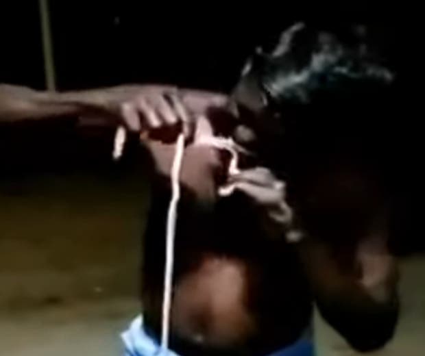 Homem é preso após devorar cobra para 'afastar a covid-19'; veja vídeo
