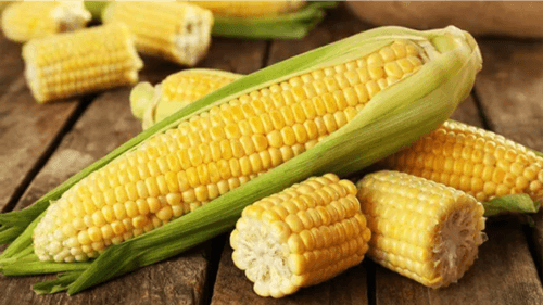 Benefícios do Milho para a Saúde: Nutrição completa e energética