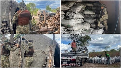 Polícia Ambiental apreende 25 toneladas de carvão vegetal ilegal