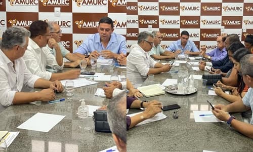 Secretário de Governo de Ibirataia Valdo Silva participa de reunião na Amurc para discussão do encerramento do Ano Letivo de 2023