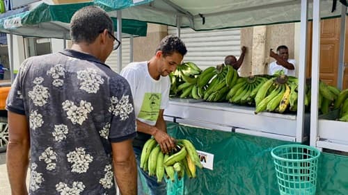 Ibirataia: Feira da Agricultura Familiar acontece no dia 5 de dezembro