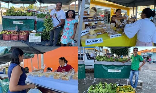 Ibirataia: 23ª Feira da Agricultura Familiar fortalece economia local e valoriza produtores do município