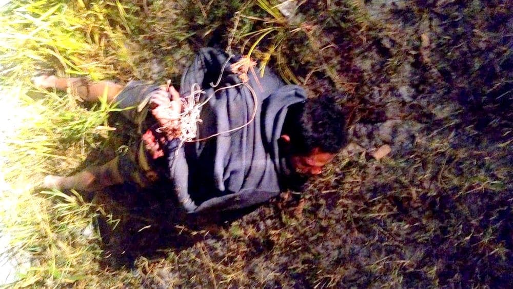 Homem invade casa e é atacado por cachorros