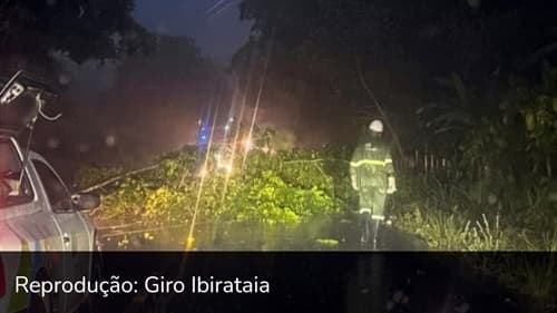 Ibirataia: Árvore cai sobre rede elétrica na BA-120, sentido distrito de Algodão