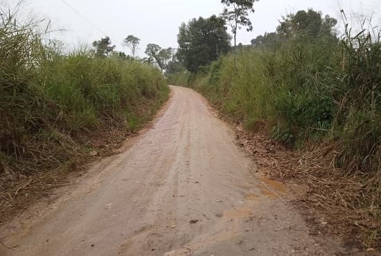 Corpo com marcas de tiros é encontrado às margens da BA-549; vítima era adolescente de Ipiaú