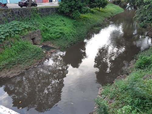 Mortandade de peixes no Rio Água Branca preocupa população e ambientalistas