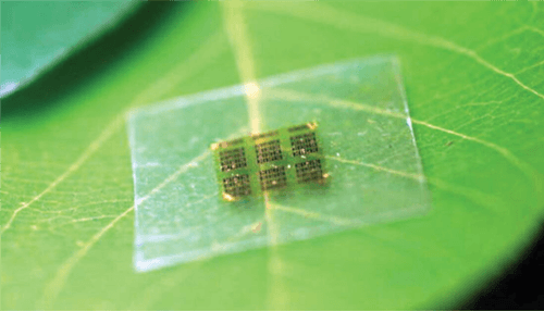 Cientistas criam primeiro microprocessador biodegradável do mundo